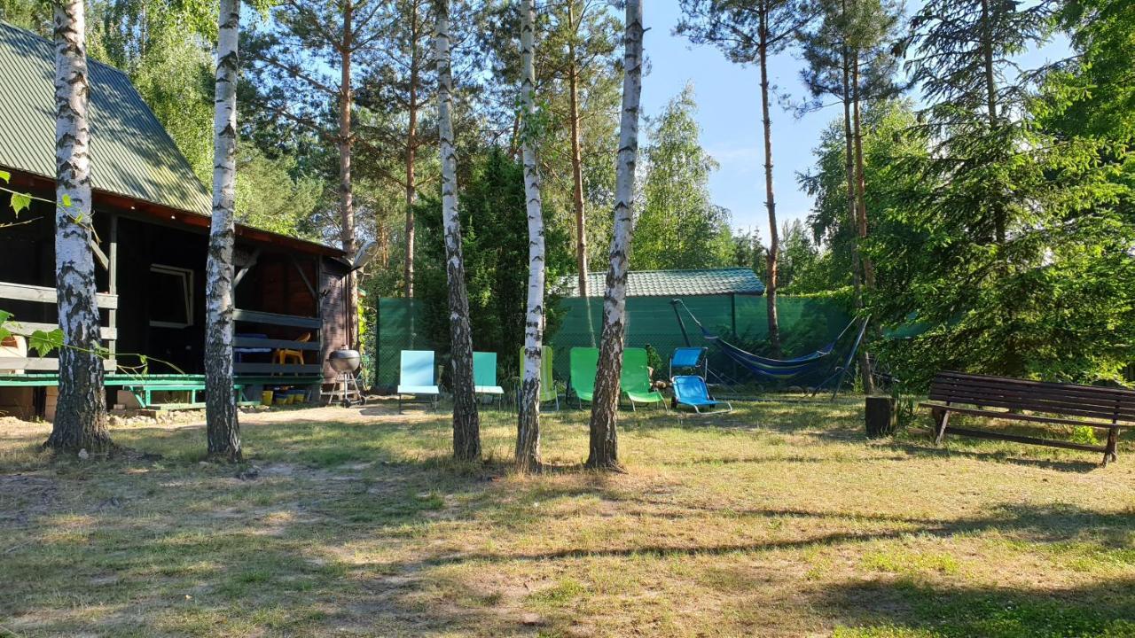 Domki Nad Jeziorem, Las, Do 10 Osob Jezioro Wilczynskie Budzislawskie - Domek Letniskowy Osobno Ogrodzony, Ogrzewany Mile Widziane Pieski, Zwierzeta- Wielkopolska, 62-550 Zygmuntowo Gm Wilczyn Exterior foto