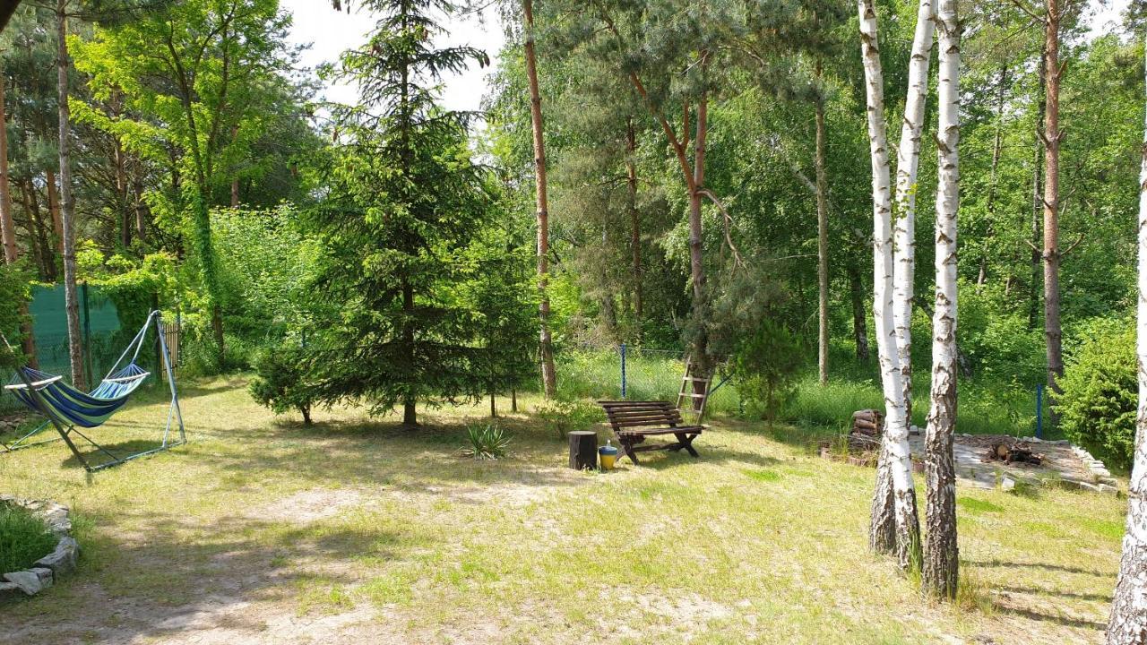Domki Nad Jeziorem, Las, Do 10 Osob Jezioro Wilczynskie Budzislawskie - Domek Letniskowy Osobno Ogrodzony, Ogrzewany Mile Widziane Pieski, Zwierzeta- Wielkopolska, 62-550 Zygmuntowo Gm Wilczyn Exterior foto