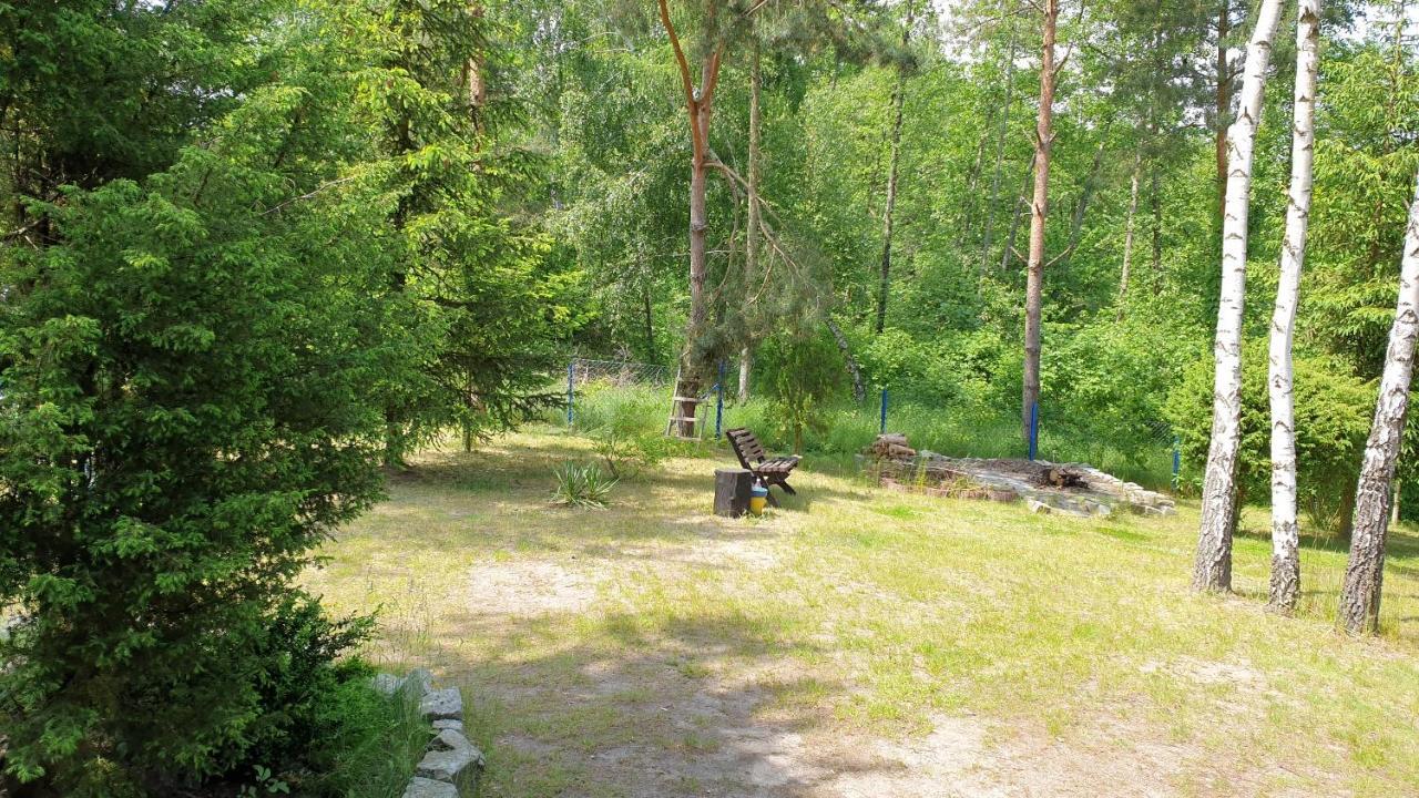 Domki Nad Jeziorem, Las, Do 10 Osob Jezioro Wilczynskie Budzislawskie - Domek Letniskowy Osobno Ogrodzony, Ogrzewany Mile Widziane Pieski, Zwierzeta- Wielkopolska, 62-550 Zygmuntowo Gm Wilczyn Exterior foto